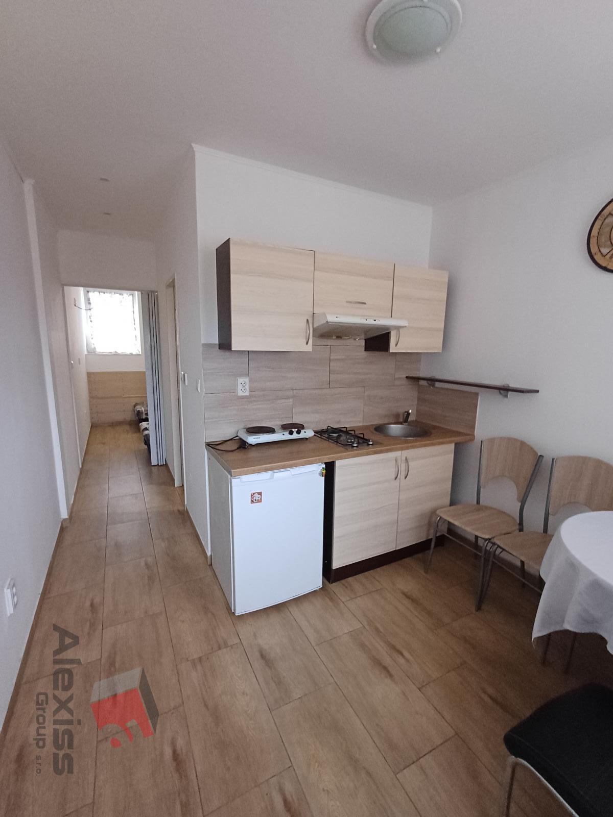 Pronájem bytu 1+kk, Čelákovice - Záluží, Praha - východ — fotografie 2